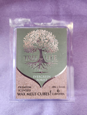 Tree Of Life Wax Melts - Evergreen Forest